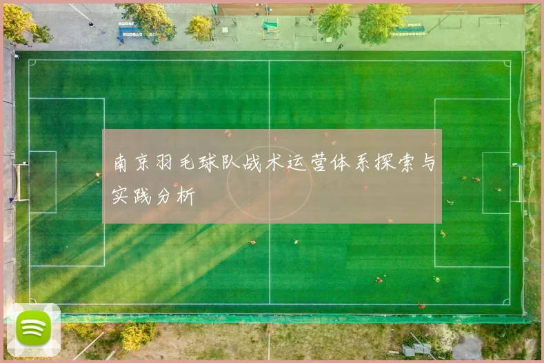 南京羽毛球队战术运营体系探索与实践分析