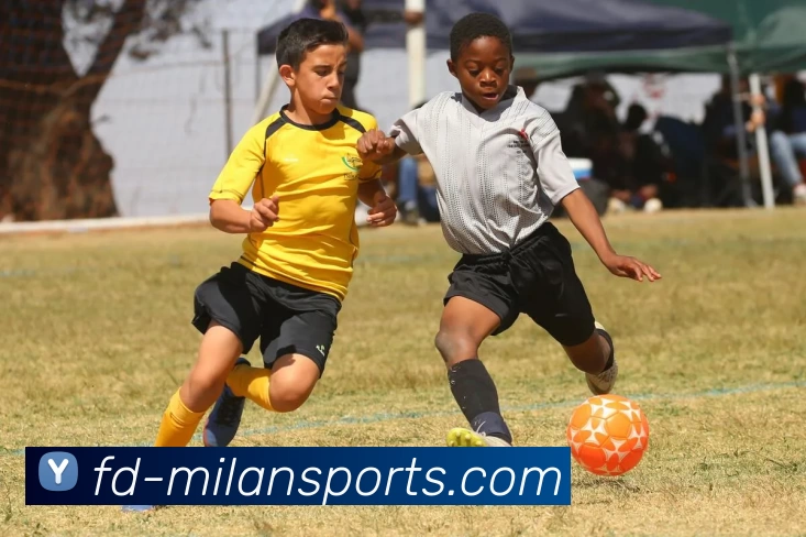 多媒体互动体验